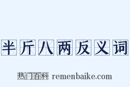 半斤八两反义词是什么意思的图片